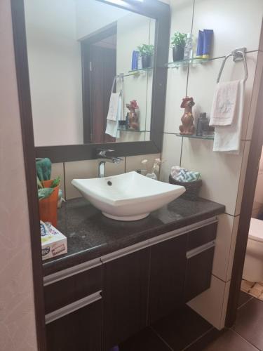 uma casa de banho com um lavatório e um espelho em Comodidad y Elegancia em Cochabamba