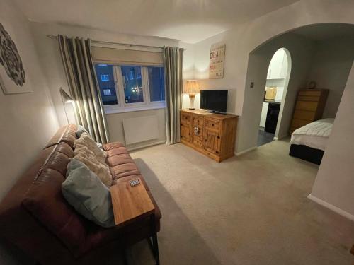 a living room with a couch and a bed and a television at Beautiful Peaceful Studio Flat in Waltham Abbey