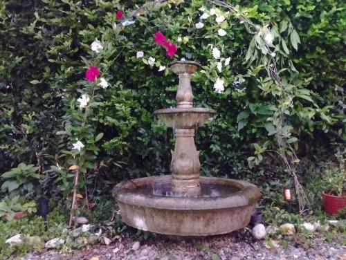 a bird bath in a garden with flowers at HOTEL VILLA CAMPESTRE AVENTUREROS in San Gil