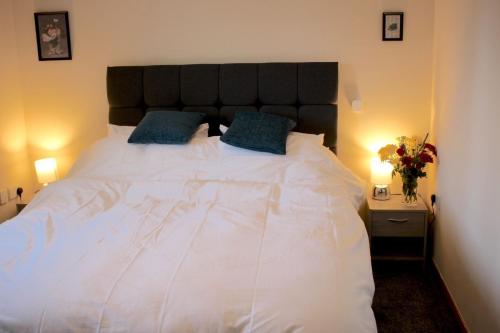 a bedroom with a large white bed with blue pillows at Taigh Munro in Aviemore