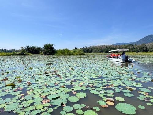 a boat in a lake filled with lily pads at Branda Kampung Sumpitan Lenggong TIADA SUNGAI in Kampong Ulu Jepai