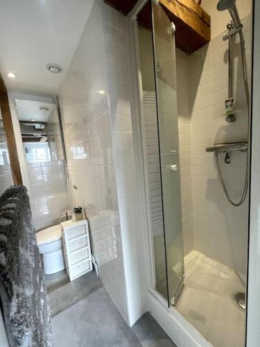 une salle de bain avec douche et toilettes dans l'établissement Lovely Flat Luxembourg Garden, à Paris