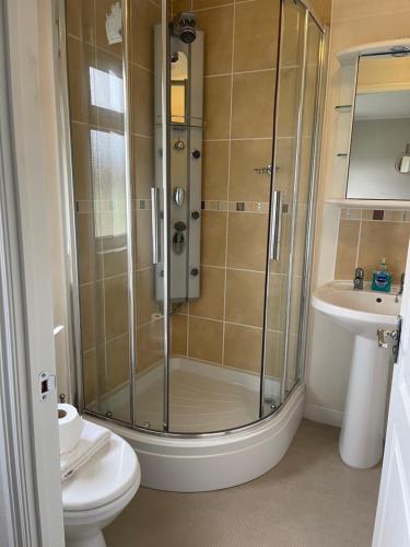 a bathroom with a shower and a toilet and a sink at Ness Lodge in Little Habton