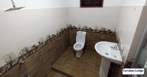 łazienka z toaletą i umywalką w obiekcie cerulean Lodge w mieście Anuradhapura