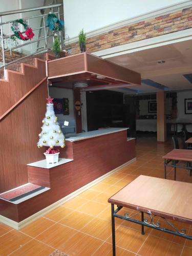 ein Zimmer mit einem Weihnachtsbaum in einem Gebäude in der Unterkunft Auzone Inn Budget Hometel in Locsin