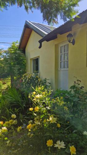 La Amarilla Casa de Huéspedes Ruta 40 Jardín