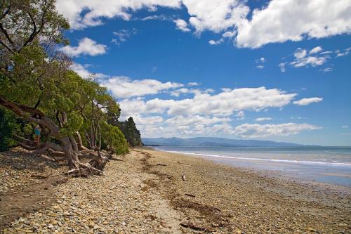 a beach with trees and the ocean on a cloudy day at Kina Cottage in Tasman