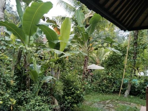Khrisna Hs and Cottages – Photos 2
