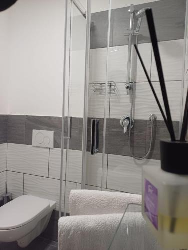 a bathroom with a shower and a toilet in it at A casa di Erica in Sorrento