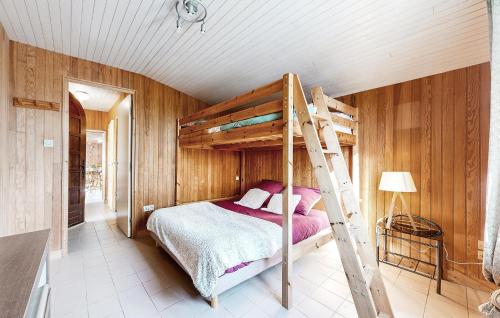 a bedroom with a bunk bed and a ladder at Stunning Home In La Bazouge-De-Chemeré in La Cropte