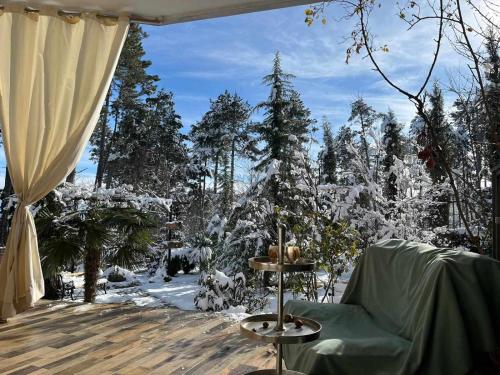 a patio with a chair and a snow covered yard at Neli & Zaal Guest House in Tʼelavi