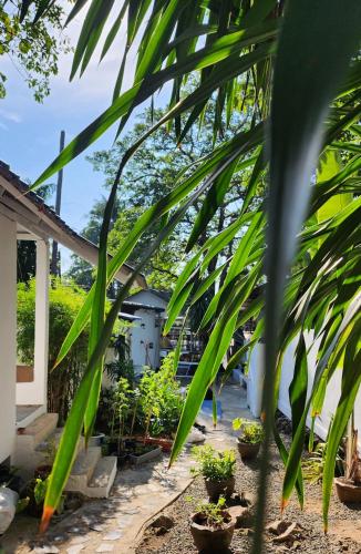 a palm tree in front of a house with plants at Easy Life Koh Chang in Ko Chang