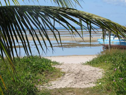 a boat on the beach with a palm tree at Villas Taturé in São Miguel dos Milagres