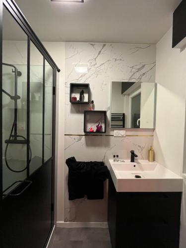 een badkamer met een wastafel en een douche bij Les gîtes coquins in Amilly