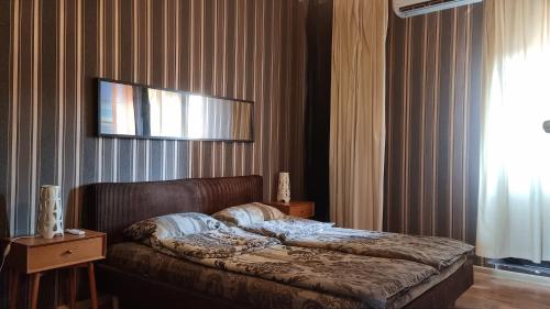 ein Schlafzimmer mit einem Bett und einem TV an der Wand in der Unterkunft Central Apartment in Sofia