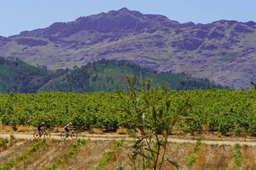 two people riding bikes on a dirt road in a vineyard at Bains Kloof Cycling Retreat in Wellington