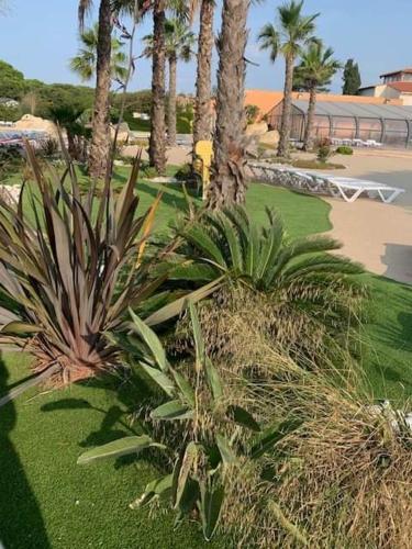 a group of palm trees and plants in a park at MOBILHOME SOLEIA NEUF 2023 MAR ESTANG SIBLU VILLAGE Canet-en-Roussillon in Canet-en-Roussillon