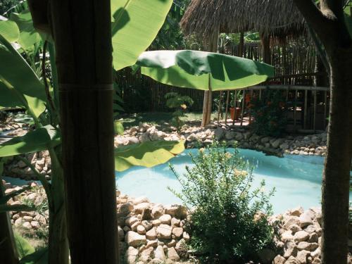 um pequeno lago num jardim com um guarda-sol em Mango House Retreat Quy Nhon em Quy Nhon