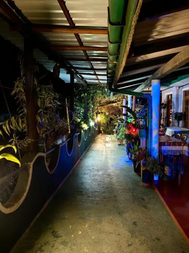 a room filled with lots of potted plants at Cozy Homestay Waterfall Road Ella in Ella