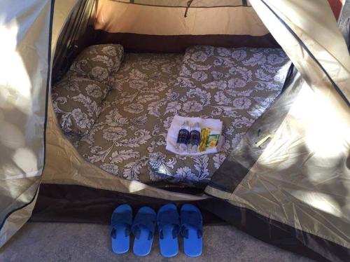 a pair of blue flip flops and a bed in a tent at TIGOLD Homestay DALAT INN in Da Lat