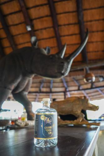 Фотография из галереи Mopane Bush Lodge в городе Linton