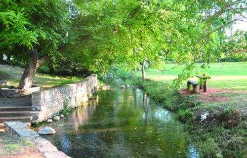 a river with an elephant standing next to a tree at homonatura petrinum in Ariokhórion