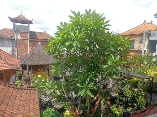 un árbol frente a una casa con un edificio en Arjuna Homestay Ubud, en Ubud