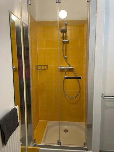 y baño con ducha y puerta de cristal. en Appartement spacieux Gentilly, en Gentilly