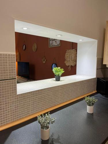 a mirror on a wall with two potted plants at L'évasion arrageoise 58 m² in Arras
