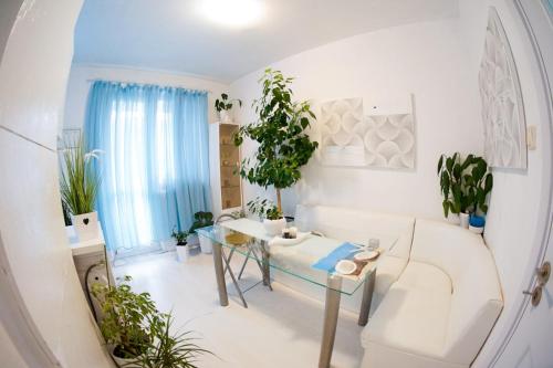 Sala de estar blanca con mesa de cristal y macetas en Alex Botique en Varna