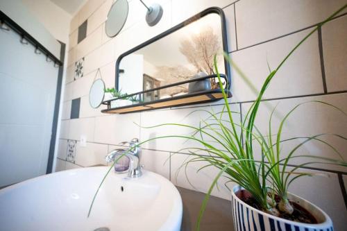 La salle de bains est pourvue d'un lavabo, d'un miroir et d'une plante. dans l'établissement Horizon en Champagne, studio avec jardin et vue, à Germaine