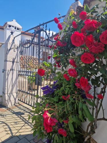 Un mucchio di rose rosse davanti a un cancello di Guesthouse Villa Galovic a Brseč (Bersezio)