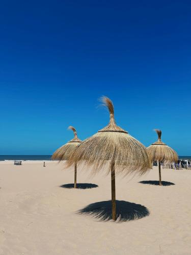 un grupo de sombrillas de paja en una playa en Sisters Beachbungalows, en Katwijk aan Zee