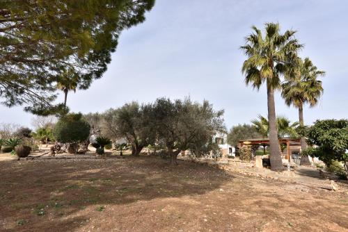 a park with palm trees and a house in the background at Sa Tanca Gran in Sineu