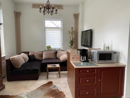 ein Wohnzimmer mit einem Sofa und einer Mikrowelle in der Unterkunft Appartement 24 in Lindau