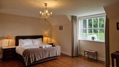 a bedroom with a bed with a chandelier and a window at Tranquil 18th Century with tennis court in Malahide