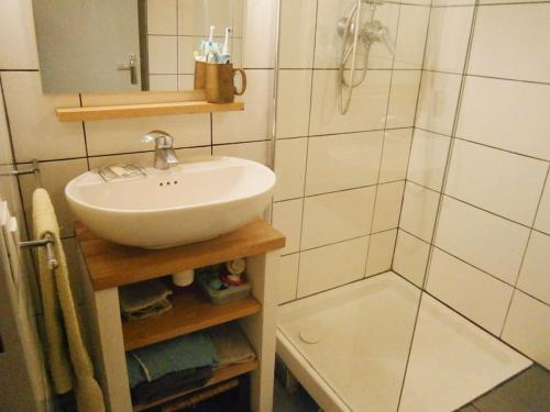 une salle de bain avec un lavabo et une douche dans l'établissement Appartement familial 2 chambres, à Lyon
