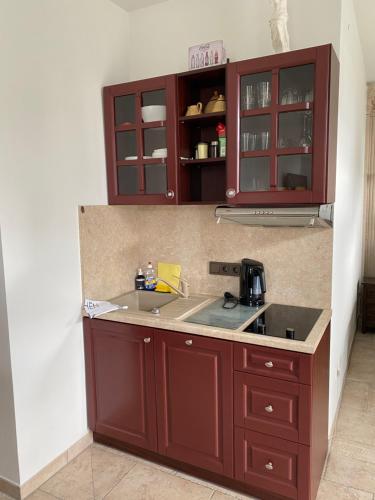 a kitchen with brown cabinets and a sink at Appartement 24 in Lindau