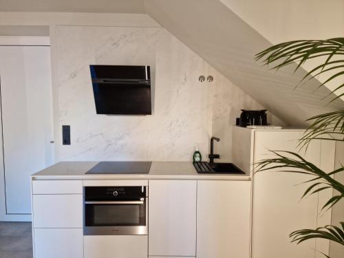 a kitchen with a stove and a refrigerator at Casa do Barqueiro LOUREIRA in Castrelo de Miño