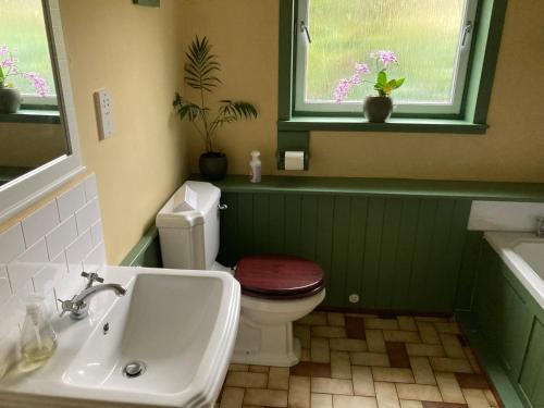 a bathroom with a toilet and a sink and a window at Invercassley cottage in Lairg