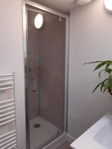 cabina de ducha con puerta de cristal en una habitación en Niort au bord de l'eau 3, en Niort