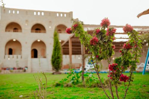 a building with pink flowers in front of a yard at كمبوند قرية تونس in Tunis