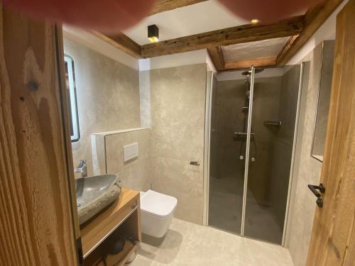 a bathroom with a shower and a sink and a toilet at Nebenhaus Sagritzerwirt in Großkirchheim
