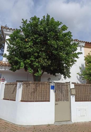 a tree on the side of a white house with gates at Nao Victoria in Gelves