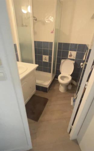 une salle de bain avec toilettes, lavabo et douche dans l'établissement Vacances mer piscine Méditerranée Le Cap d’agde studio cabine parking et 2 plages à 250 Mètres, au Cap d'Agde