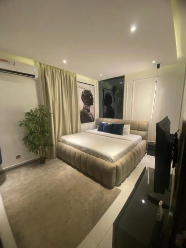 ein Schlafzimmer mit einem großen Bett in einem Zimmer in der Unterkunft affordable Apartment in Lagos