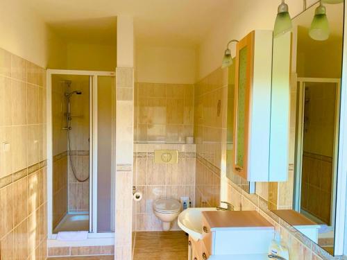 łazienka z umywalką, toaletą i wanną w obiekcie Selský Dvůr Perštejn w mieście Pürstein