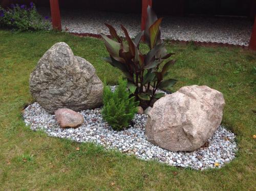 a rock garden with two large rocks and a plant at Globepark in Mažonai