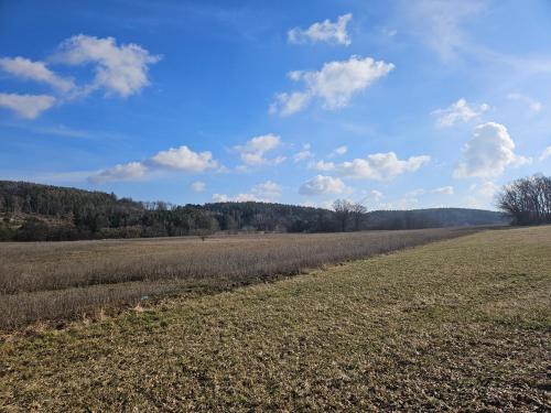 a field of crops with a blue sky and clouds at Apartmán Zahrádka in Petrovice