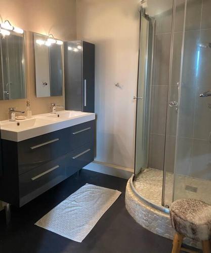 une salle de bain avec une douche et un lavabo et une cabine de douche en verre dans l'établissement Duplex entre de Paris et Disney, à Noisy-le-Grand